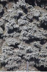 Photo Textures of Nature